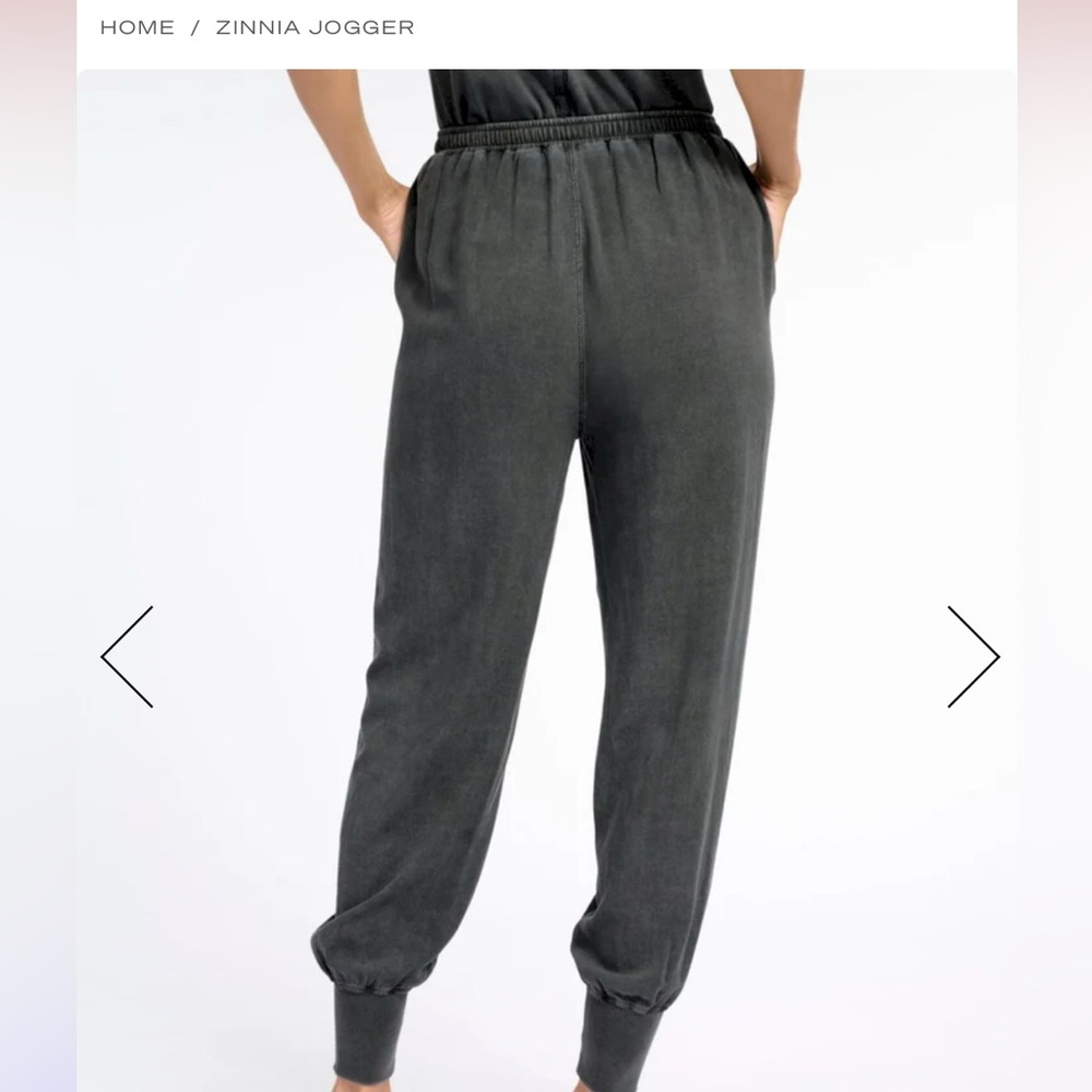 Zinnia Jogger in Charcoal by Splendid - Picture 3 of 13